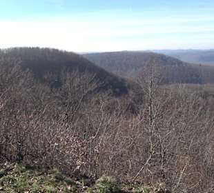 Bolberg Willmandingen