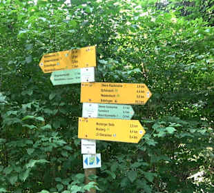 Rundwanderung Klingenbachtal - Sulzbachsee