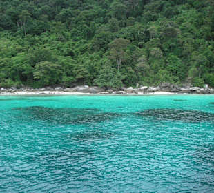 Tauchen bei Raya Noi und Yai mit Dive Asia