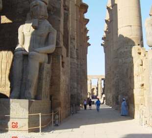 Temple of Luxor