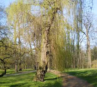 Łazienki Królewskie