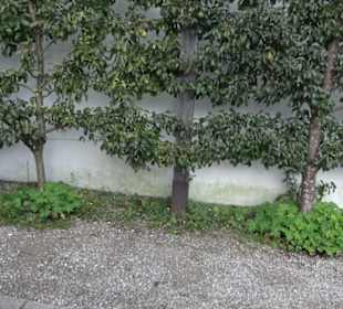 Ortsmuseum Tutzing