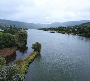 Wandern Mülheim an der Mosel