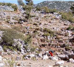 Felsige Landschaft im Gebirge