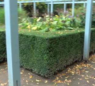 Karl-Foerster-Garten