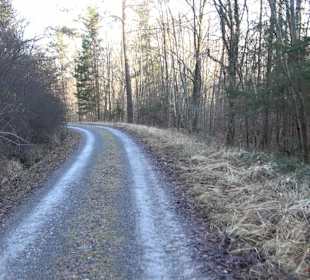 Wanderung rund um den Ochsenweiher