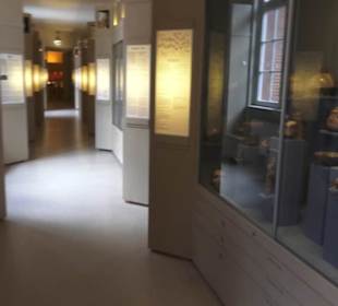 Museum für Völkerkunde