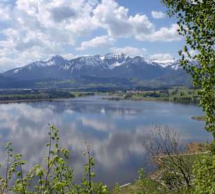 Hopfensee
