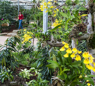 Raffeiner Orchideenwelt