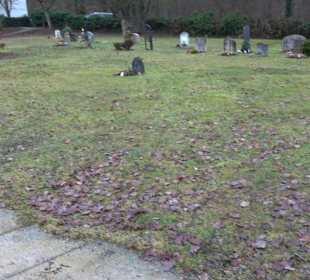 Friedhof "Neue Wiesen" Pliezhausen