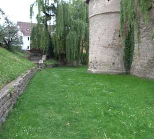 Zwinger