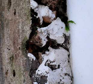 Stadtrundgang Stone Town