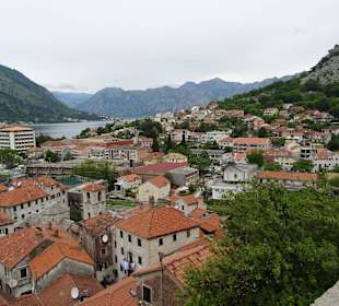 Blick auf die Altstadt von Kotor