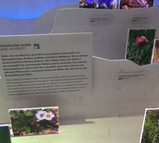 Nationalparkzentrum Haus der Berge