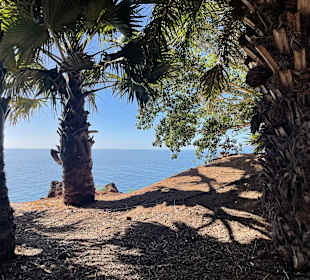 Wandern Puerto de la Cruz