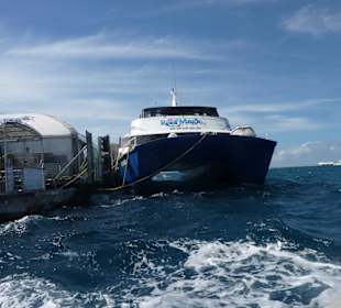 Marineplattform mit Katamaran 