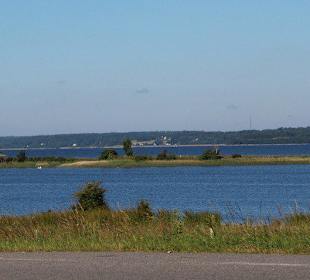 Blick in das Naturschutzgebiet