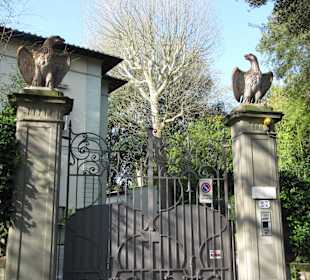 Boboli Gardens