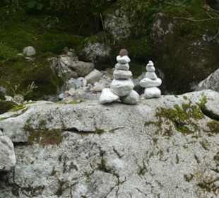 Der Zauberwald: mystisch-gespenstisch-verwunschen