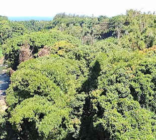 Old railway bridge in Riviere des Anguilles