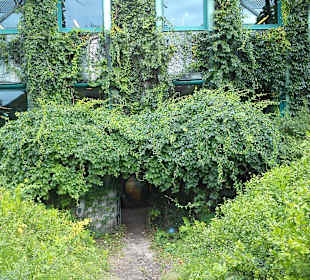 Ogród na dachu Biblioteki Uniwersyteckiej