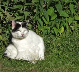 Impressionen aus dem Freilichtmuseum am Kiekeberg