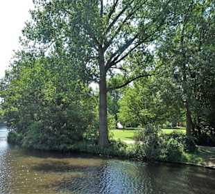 Uferzone am Hayns Park