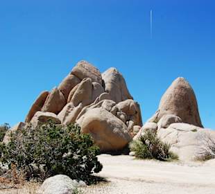 Joshua Tree Nationalpark
