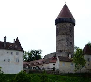 Burg Clam