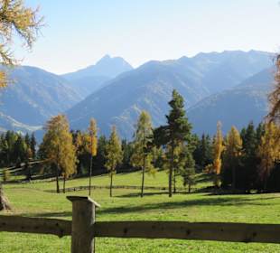 Almlandschaft bei der Hütte