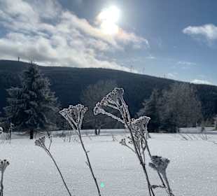 Wandern Oberwiesenthal