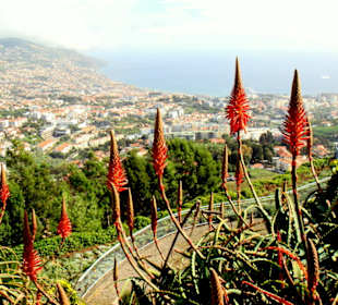 Aussichtspunkt Pico dos Barcelos