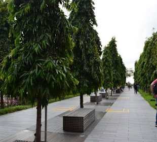 Skypark Marina Bay Sands