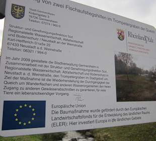 Partie an der Queich