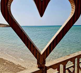 Orange Bay Delfin Tour und Schnorcheln 