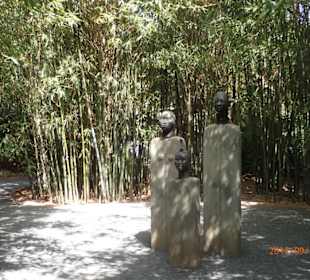 Anima-Garden