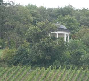 Der Niederwaldtempel in den Rüdesheimer Weinbergen