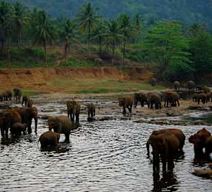 Sri Lanka