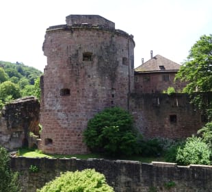 Schloss Heidelberg und Umgebung