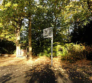 Herbstspaziergang durch den Schlosspark
