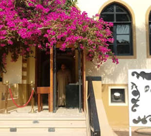 Ausflug El Gouna mit Alex Andra