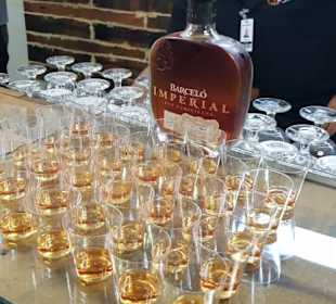 Ron Barcelo Besichtigtigung