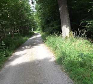 Sonnenaufgangs-Rundwanderung Rübgarten