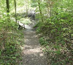 Wanderweg Hochgehwachsen