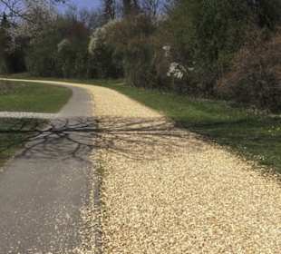 Sport- und Freizeitpark Markwasen