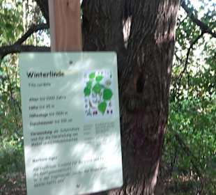 Baumlehrpfad Zollertal