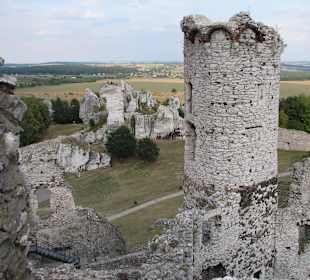 Zamek Wilcza Szczęka - OGRODZIENIEC