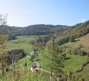 Hautnah beim Schwarzwald vom Traum 