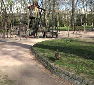 Slackline Unterer Schlossgarten