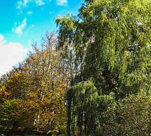 Парк Замка Ойтин. Золотая осень.